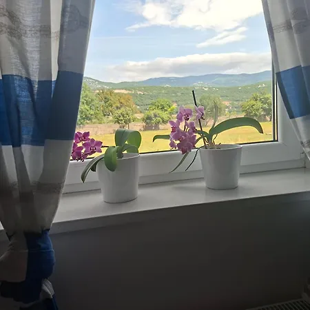 Apartment Nevenka